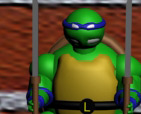 Ninja Turtles