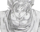 Goku Transformed