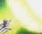 Vegeta's Struggle