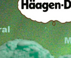 Mint Flavored Ice Cream Package
